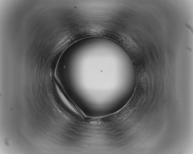X0000097300744200802151438