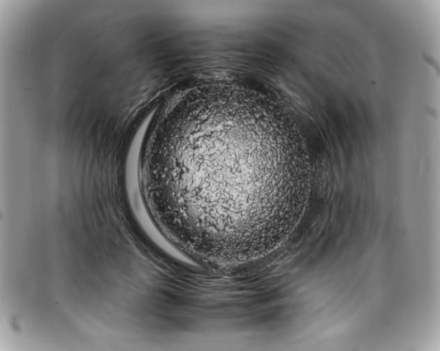 X0000097300747200802151438