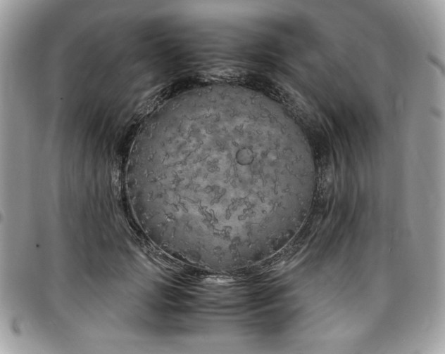 X0000097300749200802151438