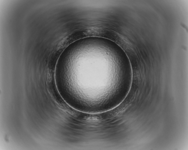 X0000097300751200802151438