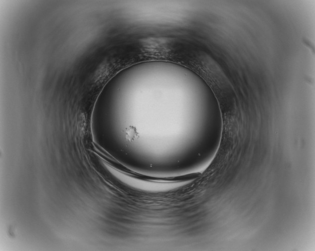 X0000097300752200802151438