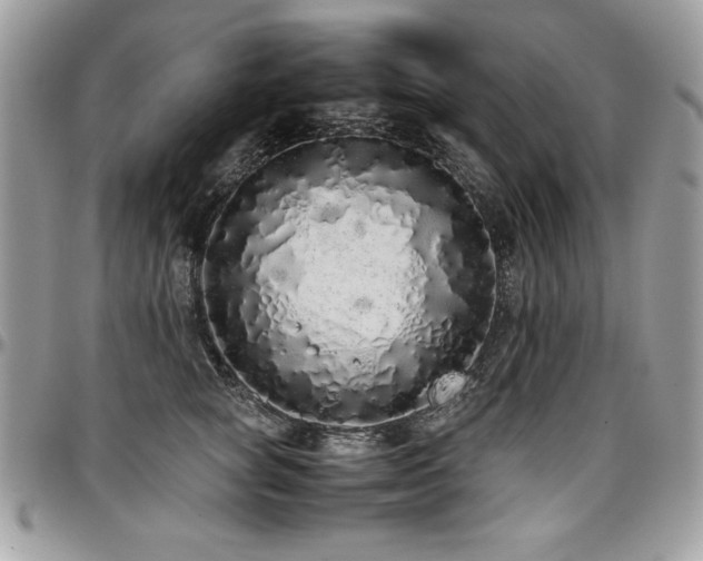 X0000097300757200802151438