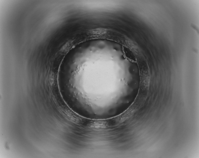 X0000097300758200802151438