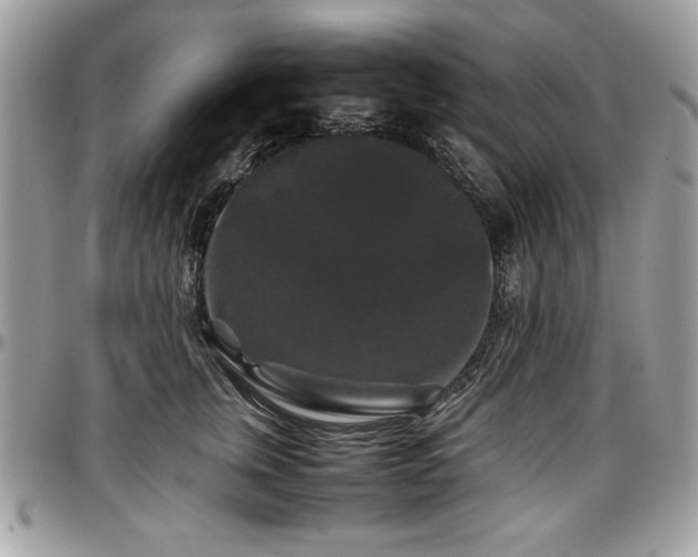 X0000097300759200802151438