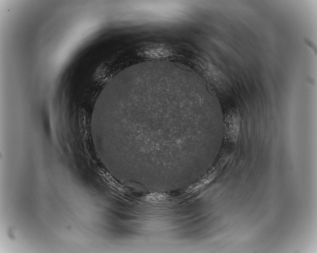 X0000097300762200802151438