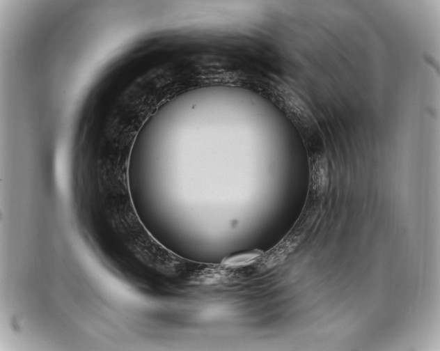 X0000097300764200802151438