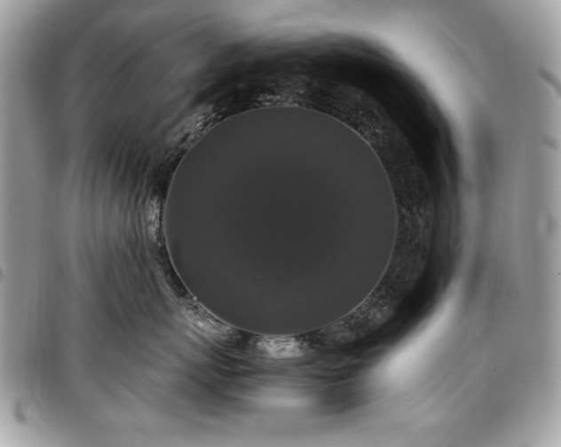 X0000097300767200802151438