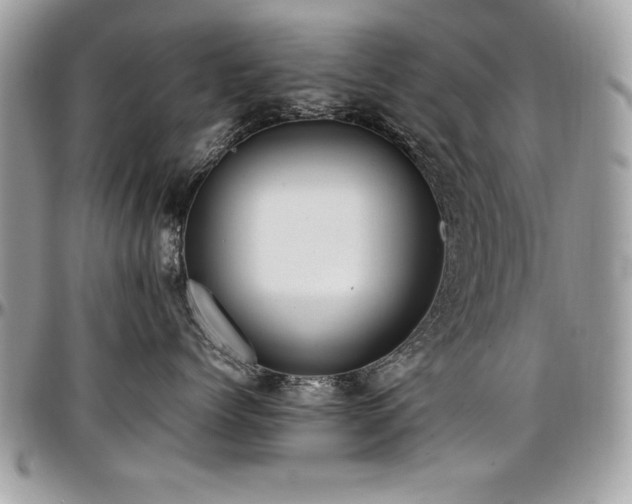 X0000097300768200802151438
