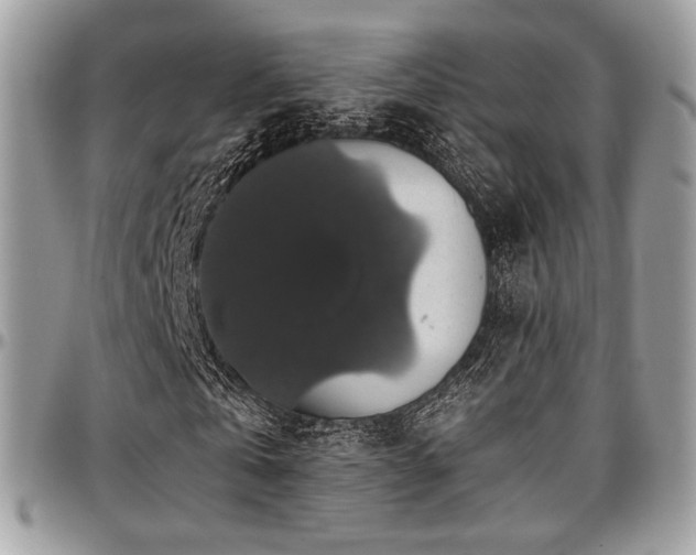 X0000097300769200802151438