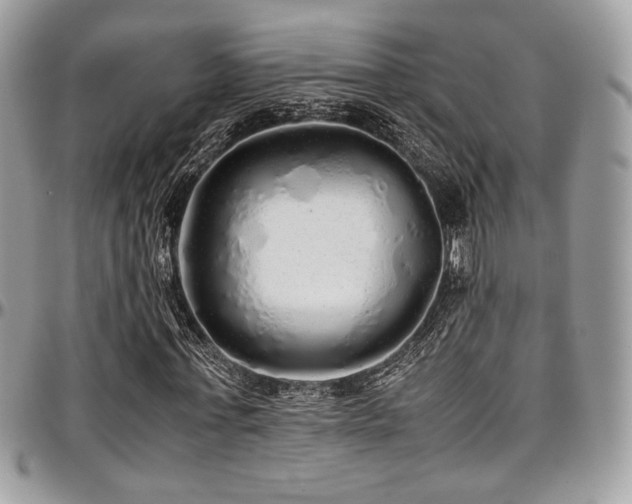 X0000097300771200802151437