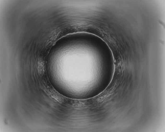 X0000097300772200802151437