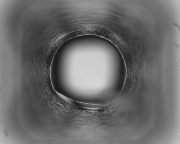 X0000097300773200802151437