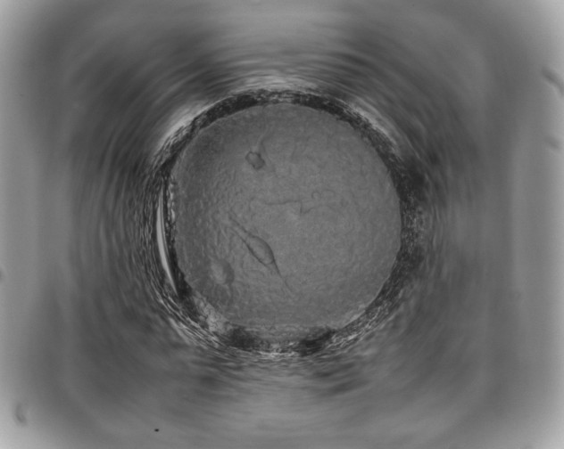 X0000097300775200802151437