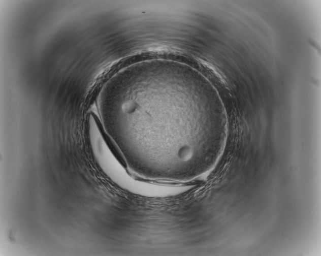 X0000097300776200802151437