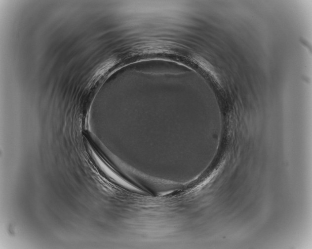 X0000097300777200802151437