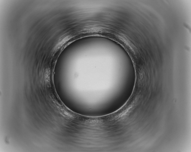 X0000097300778200802151437