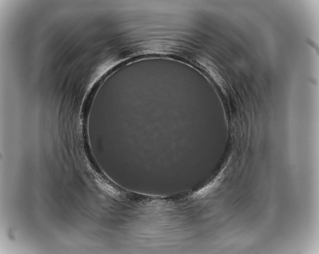 X0000097300779200802151437