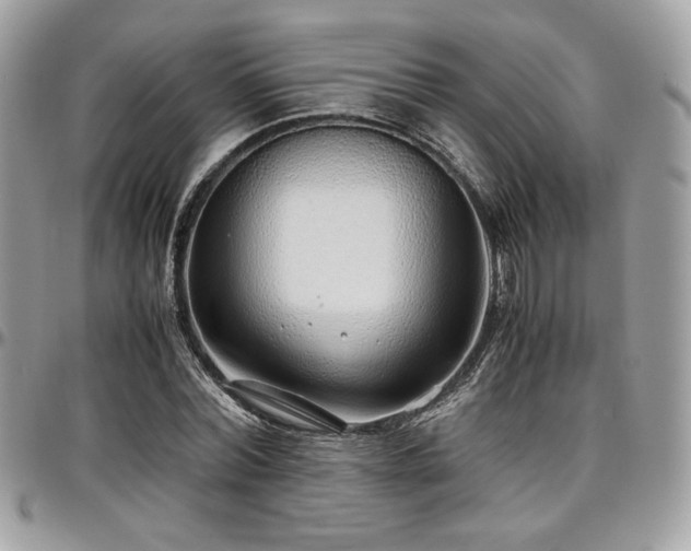 X0000097300780200802151437