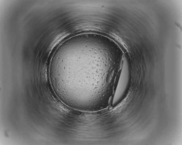 X0000097300782200802151437