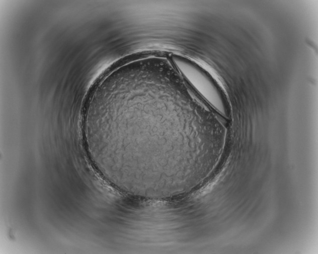 X0000097300783200802151437