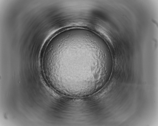 X0000097300784200802151437