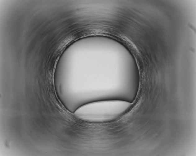 X0000097300785200802151437