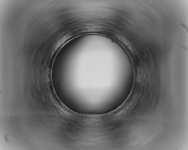 X0000097300786200802151437