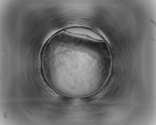 X0000097300787200802151437