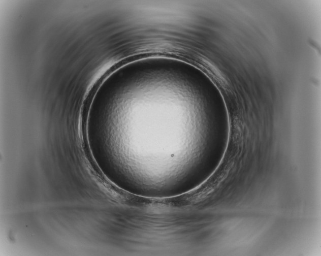 X0000097300788200802151437