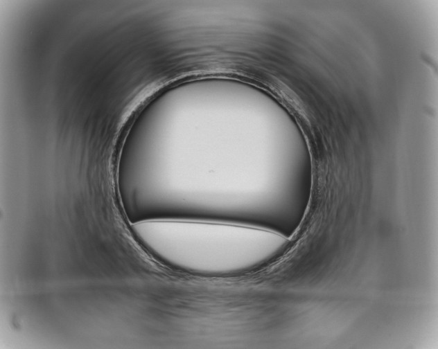 X0000097300789200802151437