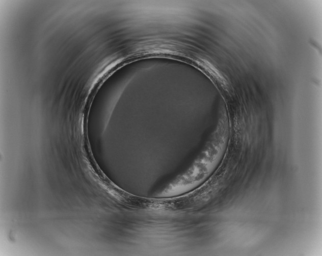 X0000097300790200802151437