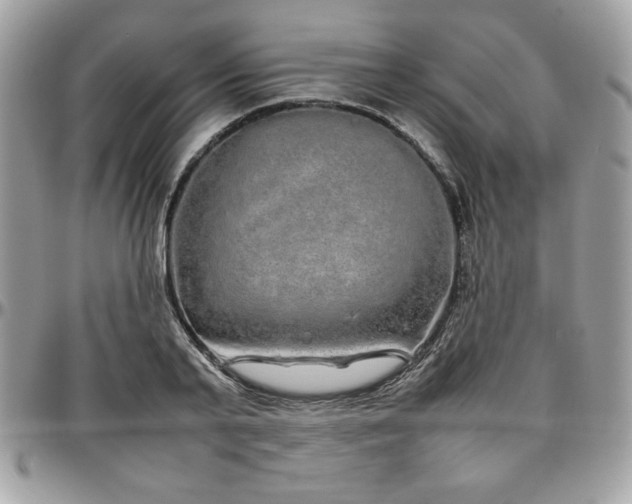 X0000097300791200802151437