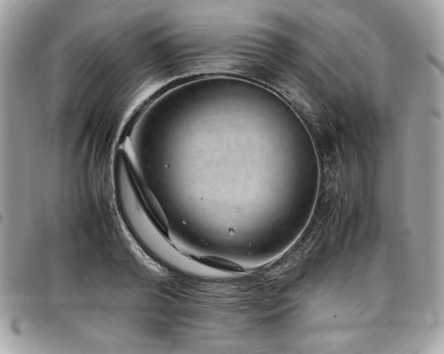 X0000097300792200802151437