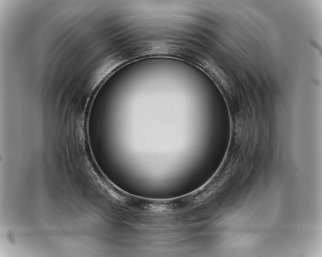 X0000097300794200802151437