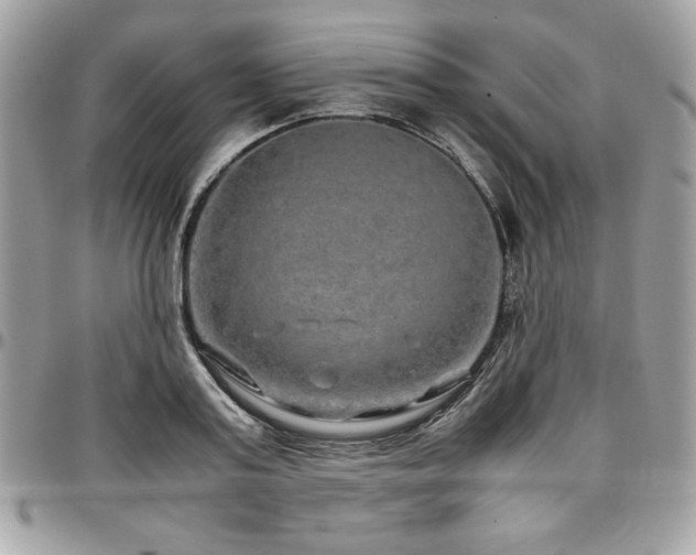 X0000097300795200802151437