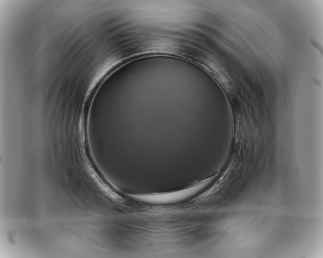 X0000097300796200802151437