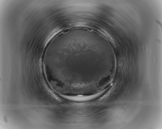 X0000097300798200802151437