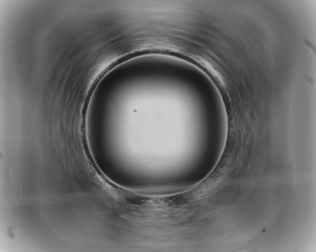 X0000097300799200802151437