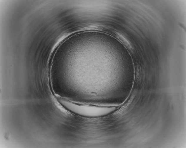 X0000097300800200802151437