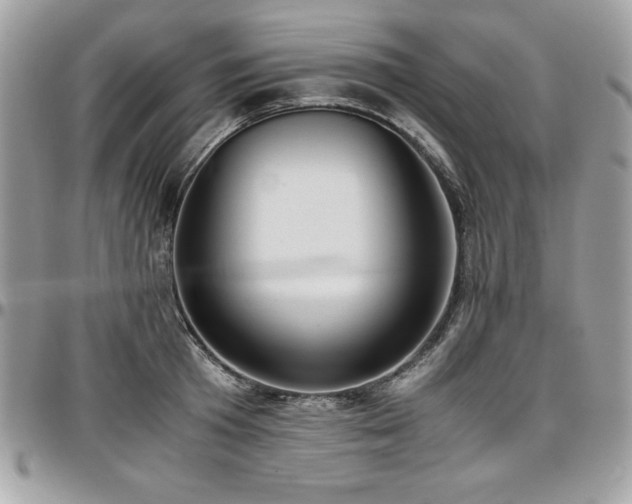 X0000097300801200802151437
