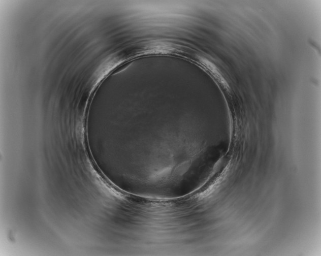 X0000097300802200802151437