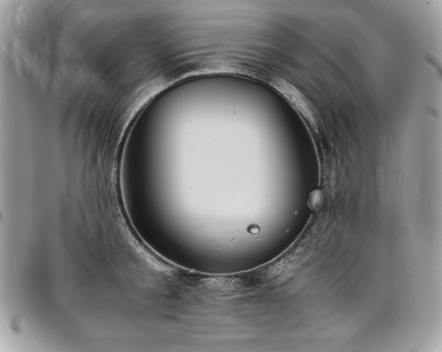 X0000097300805200802151437