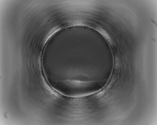 X0000097300806200802151437