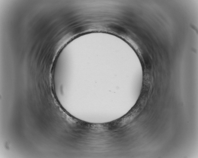 X0000097300807200802151437