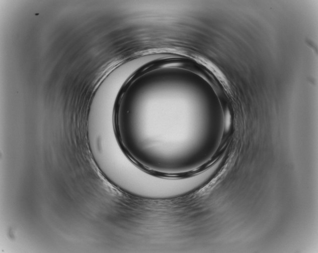 X0000097300809200802151437