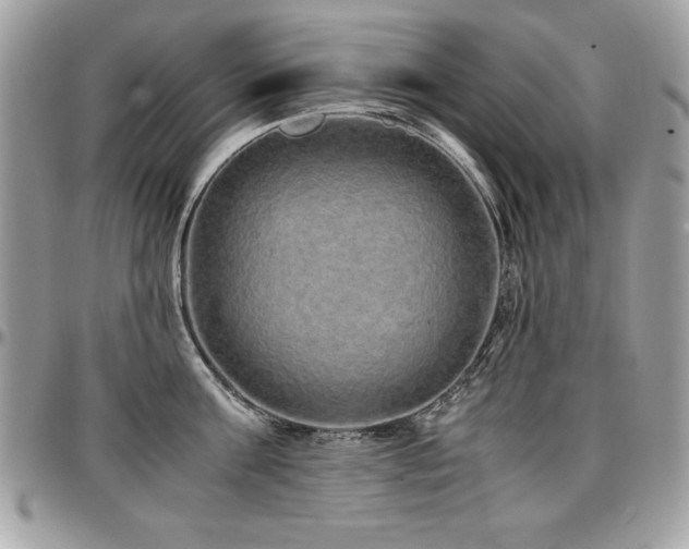 X0000097300811200802151437