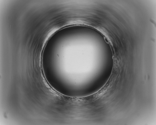 X0000097300815200802151437