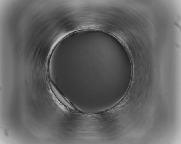 X0000097300816200802151437