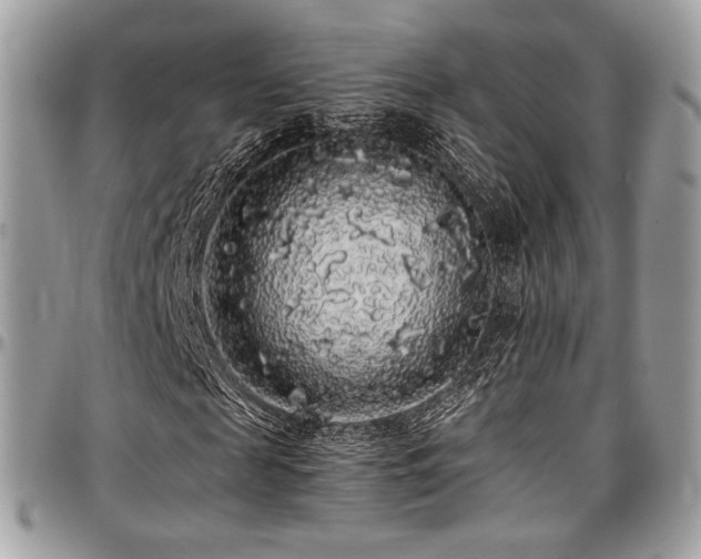 X0000097300817200802151436