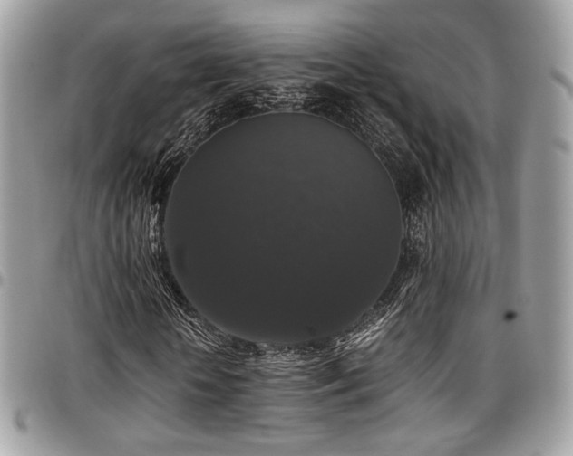 X0000097300818200802151436